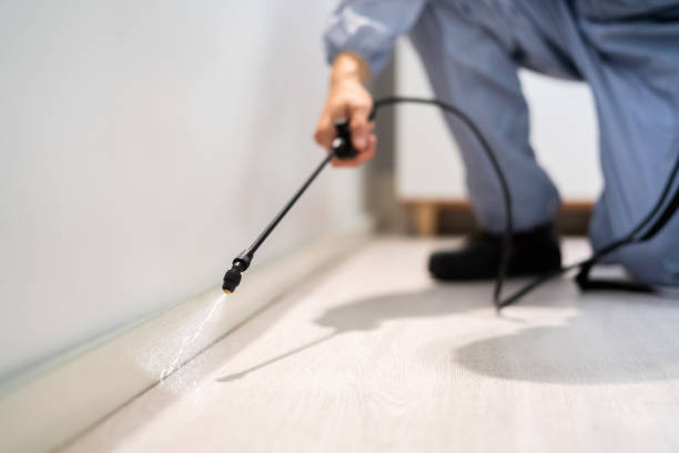 Licensed Fumigation Services service in Comanche County County, OK - Nex Pest Control